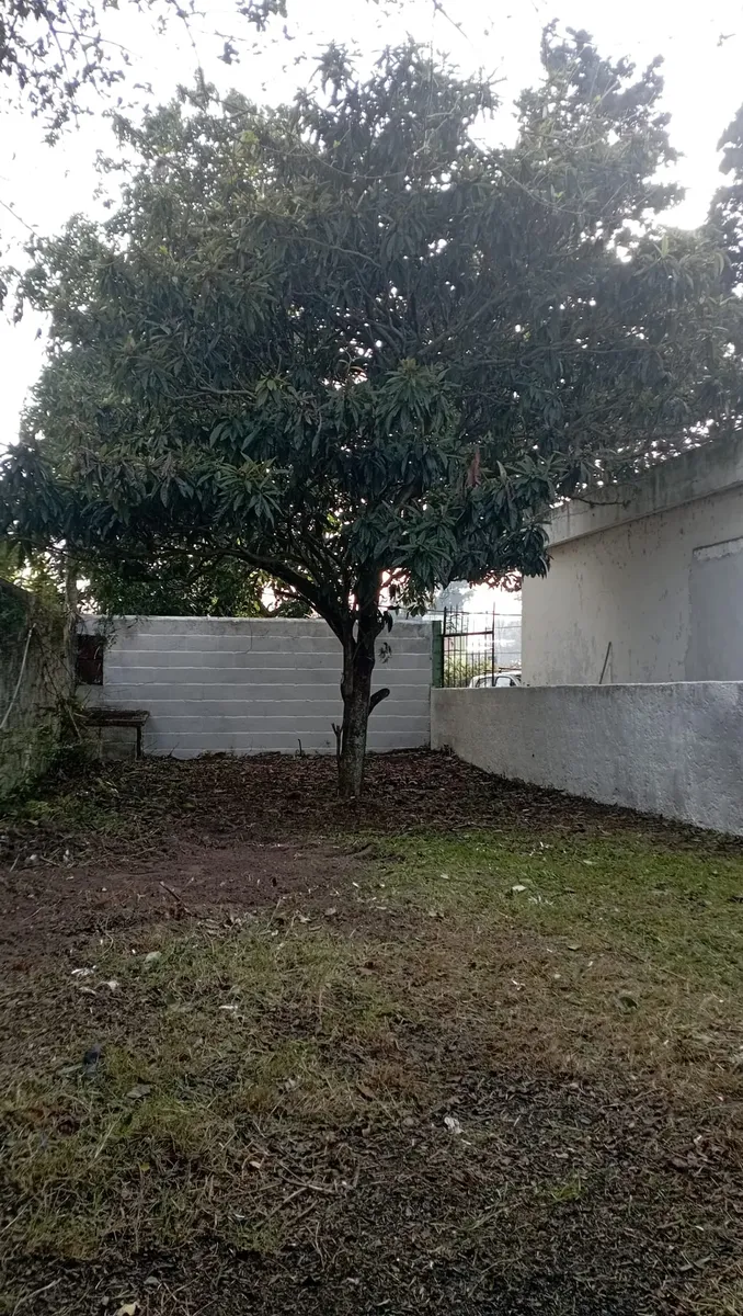 Se Alquila Casa Al Fondo 2 Dormitorios Pinar Norte · Foto 4