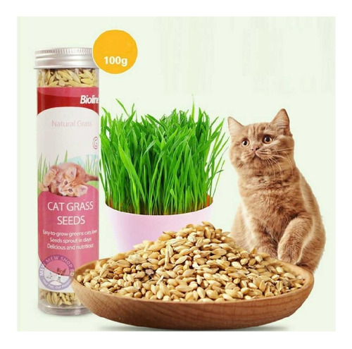 Semillas De Hierba Gatuna Catnip Bioline Hierba Gatera Gatos