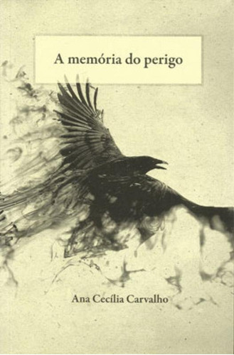 A Memória Do Perigo - Vol. 3: Trilogia Da Inquietude, De Carvalho, Ana Cecília. Editora Quixote + Do, Capa Mole Em Português