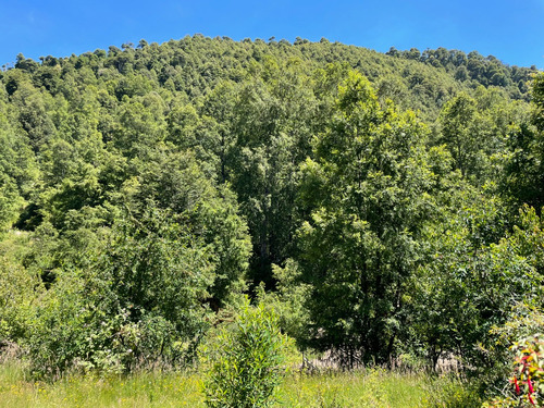 Parcela En Caburgua En Cerro La Barda