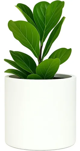 Maceta Grande Con Saucer Oculto Fox & Fern, 12 Pulgadas