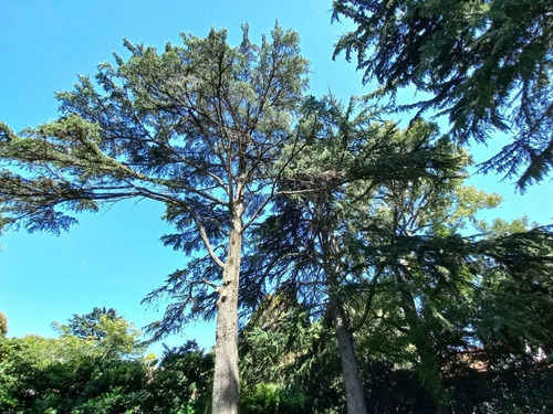 Imagen 10 de 14 de Venta De Lote En San Isidro