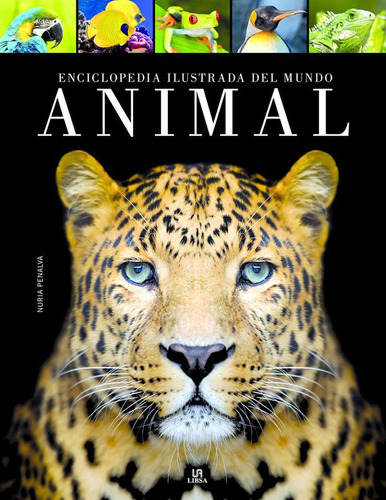 Enciclopedia Ilustrada Del Mundo Animal