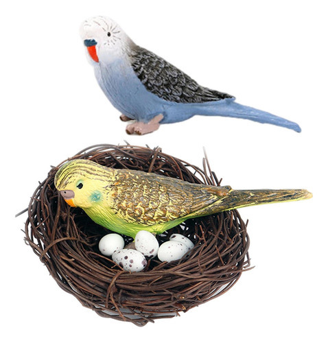 Figura De Huevo De Nido De Pájaro Loro Modelo Animal De Color C