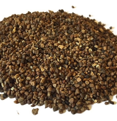 Cardamomo Semilla 100 Gramos Calidad Premium A Granel