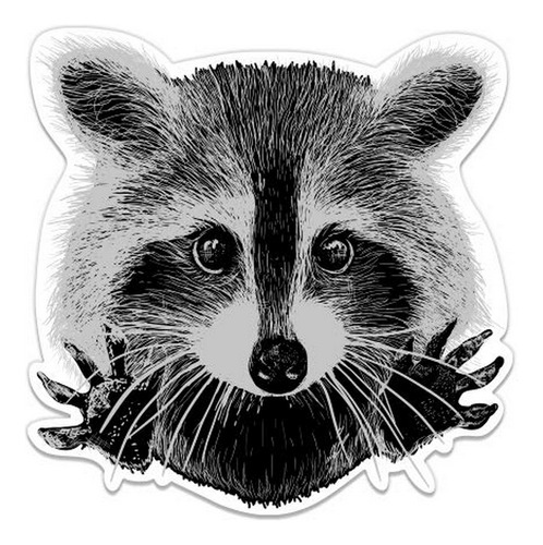 Pegatina De Vinilo Resistente Al Agua - Raccoon Graphics