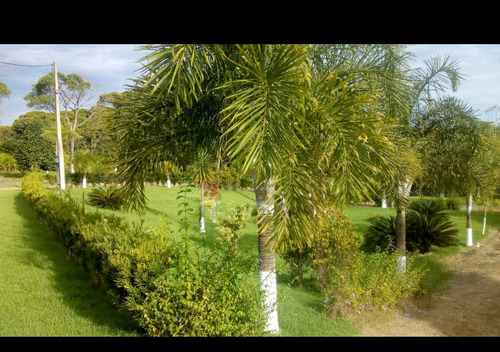 Vendo Excelente Chacara