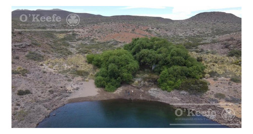 Imagen 5 de 28 de 8.805 Has En Neuquen Venta / Alquiler, Con 18 Km De Costa Del Embalse Piedra Del Águila.