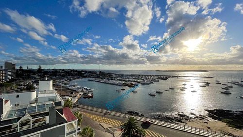 Imagen 9 de 28 de Puerto Punta - Piso Alto