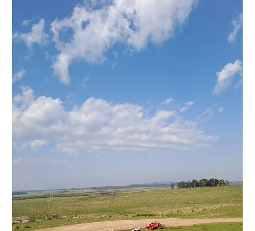 Jm Se Alquila Predio De 3500 M2 En Ruta 5