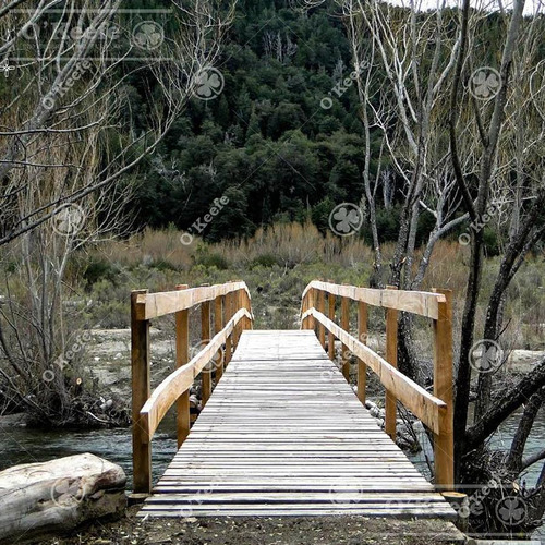 Imagen 9 de 17 de Chacra / Fracción En Venta En Patagonia Argentina - 12 Has Sobre Rio - Fly Fishing Pesca Con Mosca.