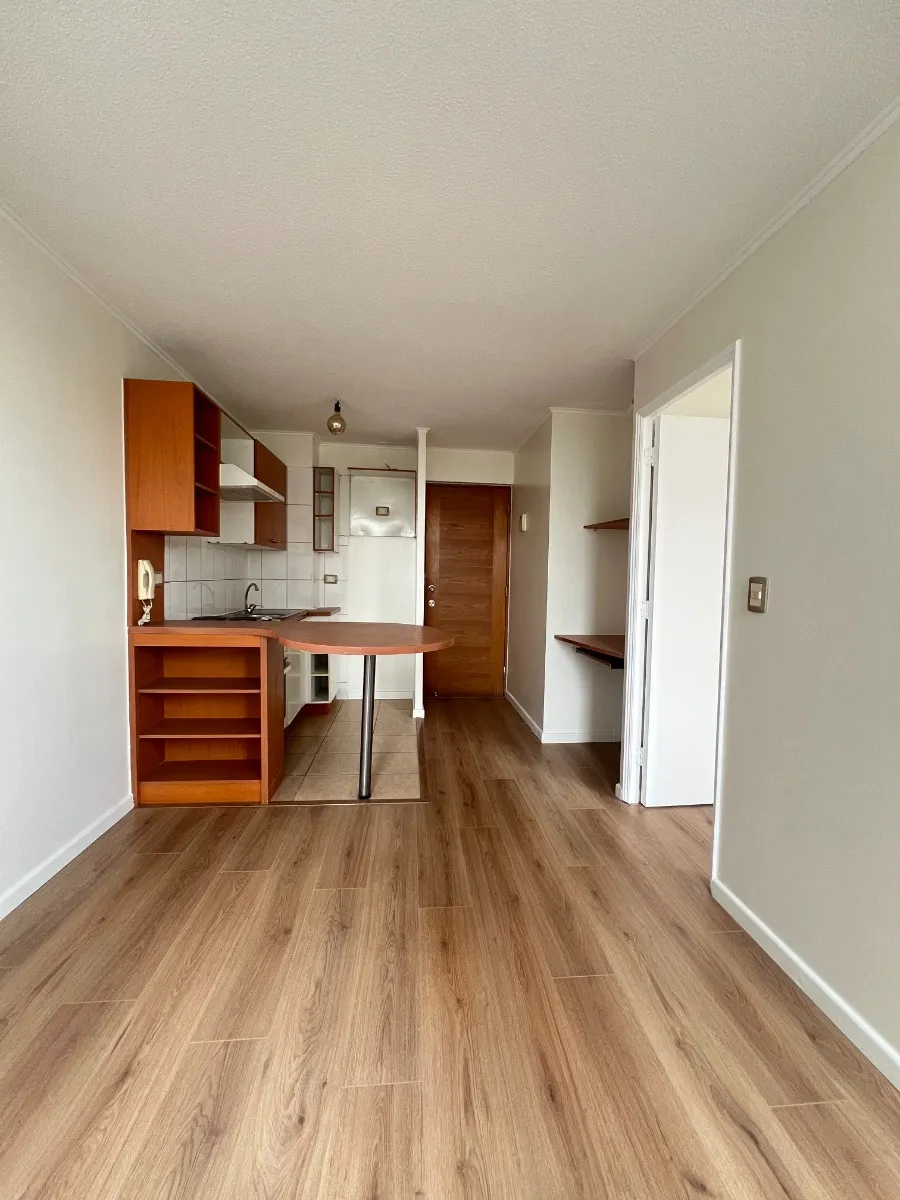 Imagen 4 de 25 de Arriendo San Martin 870 / San Pablo