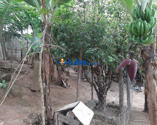 Chacara - Ch00045 - 69035310