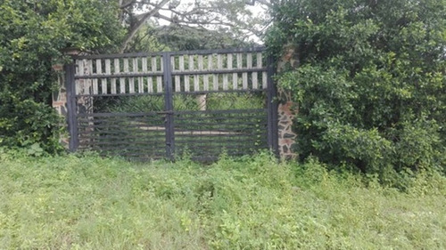 Imagen 12 de 13 de Finca En Montalbán Carabobo Fot-246