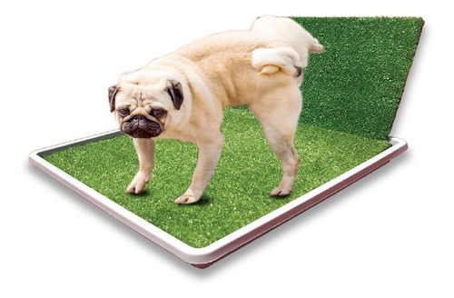 Alfombra Bandeja C/accesorio Perro Macho Totalmente Lavable!