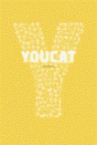 Libro: Youcat. Catecismo Joven De La Iglesia Cat?lica. Vv. A
