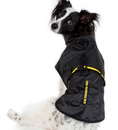 Imagen 6 de 9 de Piloto Tipo Capa Impermeable Perro Lluvia. Talles Grandes