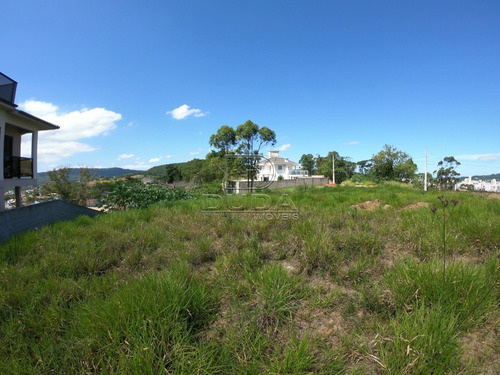 Imagem 9 de 9 de Terreno - Mina Do Mato - Ref: 32415 - V-32412