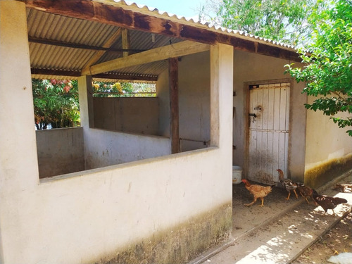 Imagem 4 de 30 de Chácara 30.000m2,casa Sede E Caseiro,pomar,chiqueiro,curral,churrasqueira,piscina,salão,tanque Pesca,galinheiro,quarto Ferramentas,cercado,escriturada - Ch00092 - 69588354