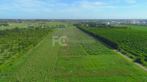 Imagen 17 de 21 de Venta Campo 11 Has Rincon Del Cerro Montevideo