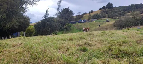 Lote En Venta En El Rodeo. Cod V16825