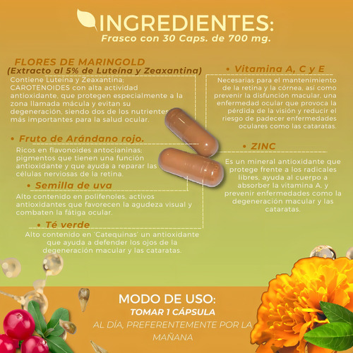 Luteíana Con Zeaxantina Biosuple Visión 30 Capsulas 700mg Cu