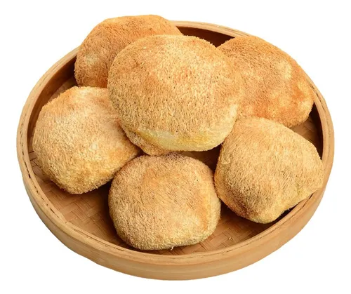 comprar Hongo Melena De León Seco Deshidratado 500g Hericium Erinace Melena De León