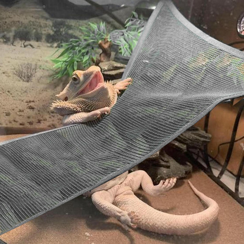 Hamaca Accs Camaleón Geckos Juguete Colgante Red Columpio