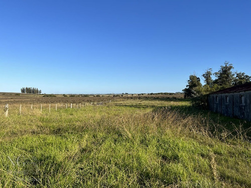 Excelente Campo De 102 Has Ganadero Con Casas Y Galpón