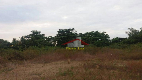 Imagem 8 de 30 de Terreno Comercial À Venda ,na Av.godofredo Maciel - Te0042