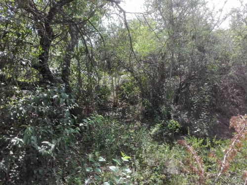 Imagen 30 de 30 de Venta Hermoso Terreno, Fondo De Arroyo, Las Rabonas, Nono, Traslasierra
