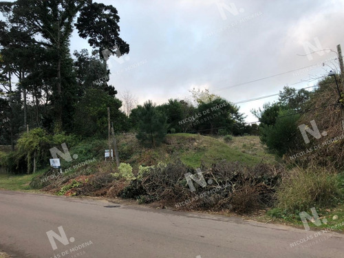 Imagen 4 de 8 de Terreno En Venta En Zona De Tranquilidad. - Punta Del Este Lugano