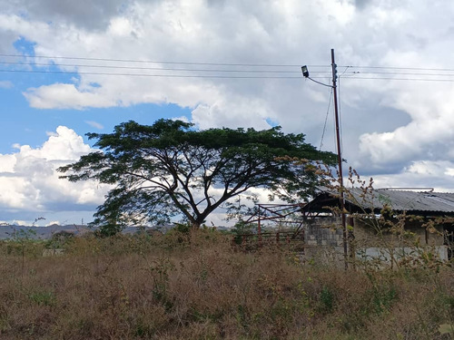 Global Ofrece En Venta Finca En Tinaquillo.edo Cojedes