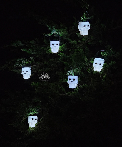 Halloween Calaveras Luminosas Luz Led Blanca Cabeza