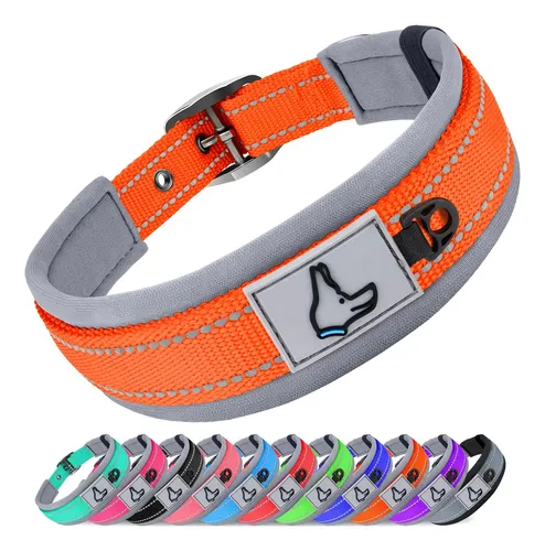 Coleira De Neoprene Joytale Acolchoada Para Cães Médios, 11