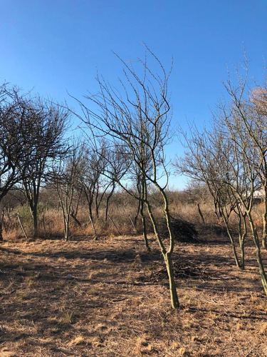 Lote De 1125 M2 En Piedra Pintada - Traslasierra
