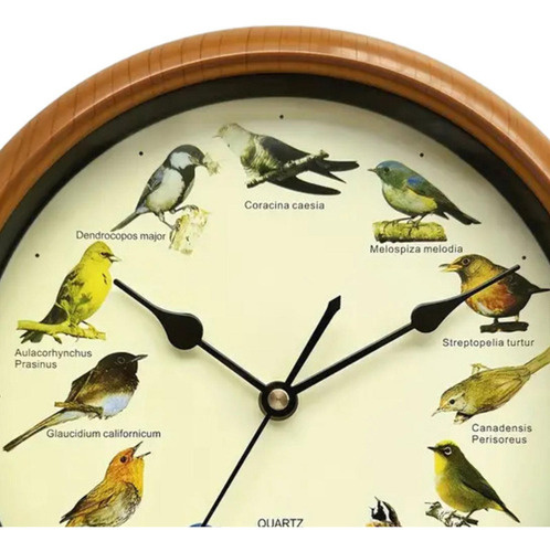 Reloj De Pared Con Diseño De Pájaros, Reloj De Pared