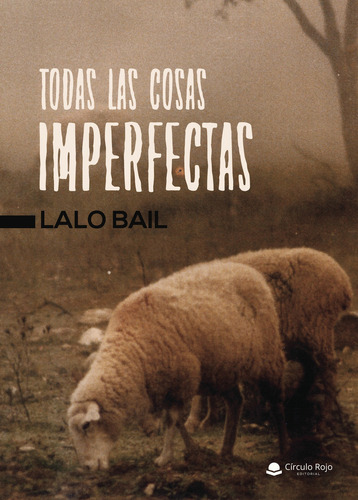 Todas Las Cosas Imperfectas, de Lalo Bail.. Grupo Editorial Círculo Rojo SL, tapa blanda, edición 1.0 en español