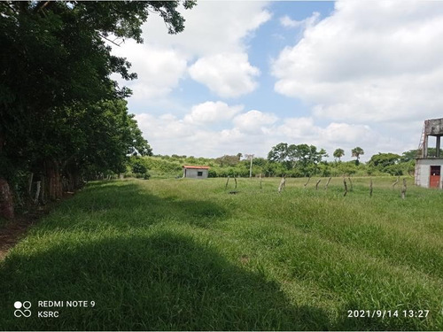 Rancho En Venta La Piedra