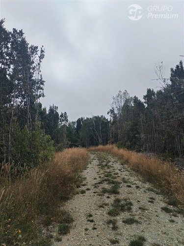 Parcela En Venta En Fresia