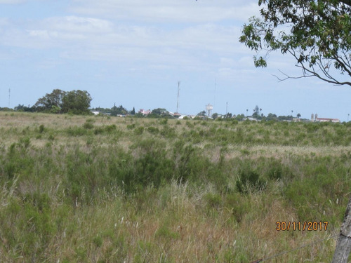 Imagen 18 de 18 de Campo Pegado A Tala, 22 Hás