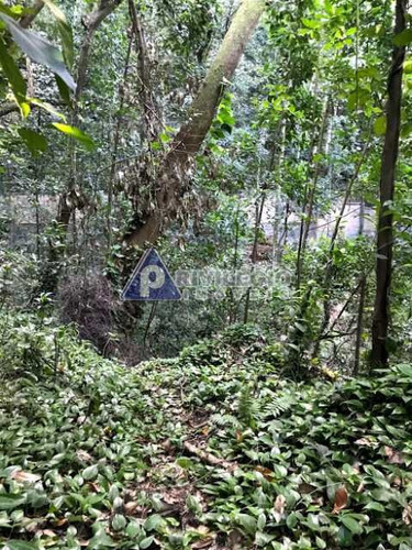 Imagem 15 de 17 de Terreno No Cosme Velho - 12131
