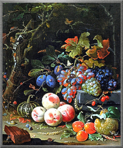 Cuadro Flores Frutas Insectos Naturaleza Muerta  Mignon 1669