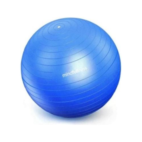 Balon Yoga Pilates Gym Gimnasia Fisioterapia Embarazo 75cm