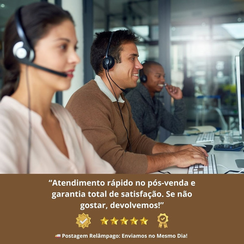 Folha Moeda Mista Variada Seca Natural Decoração- 350 Folhas