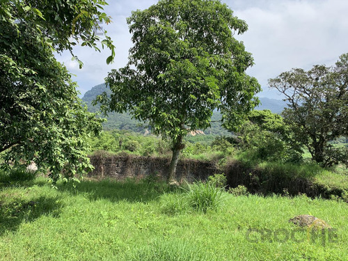 Rancho En Venta La Concepción Ver, 15 Mins De Xalapa Ver.
