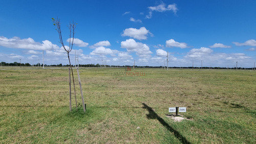 Lotes En Fincas De San Vicente