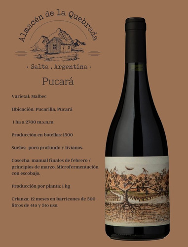 Almacen De La Quebrada Pucara Malbec - Sejanovich Vino Salta