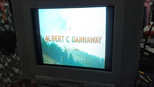 Tv LG 14 Polegadas Tela Plana Sem C. R. * Cdo