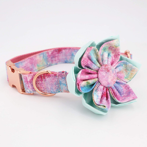 Lindo collar de perro, collar de perro para niña con cuello